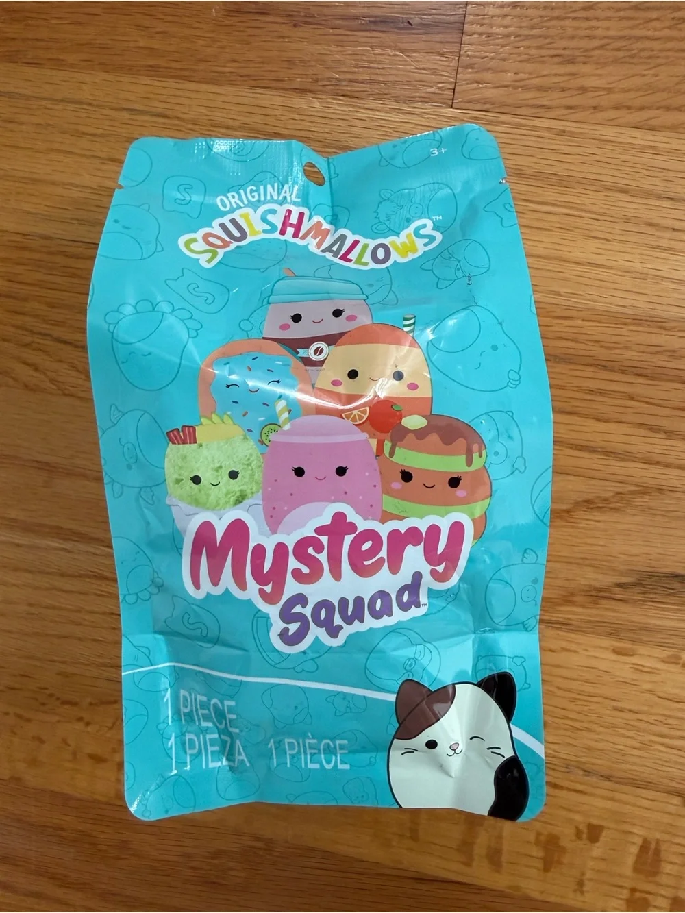 Squishmallows Mystery Squad Blind Bag - Teal Packaging